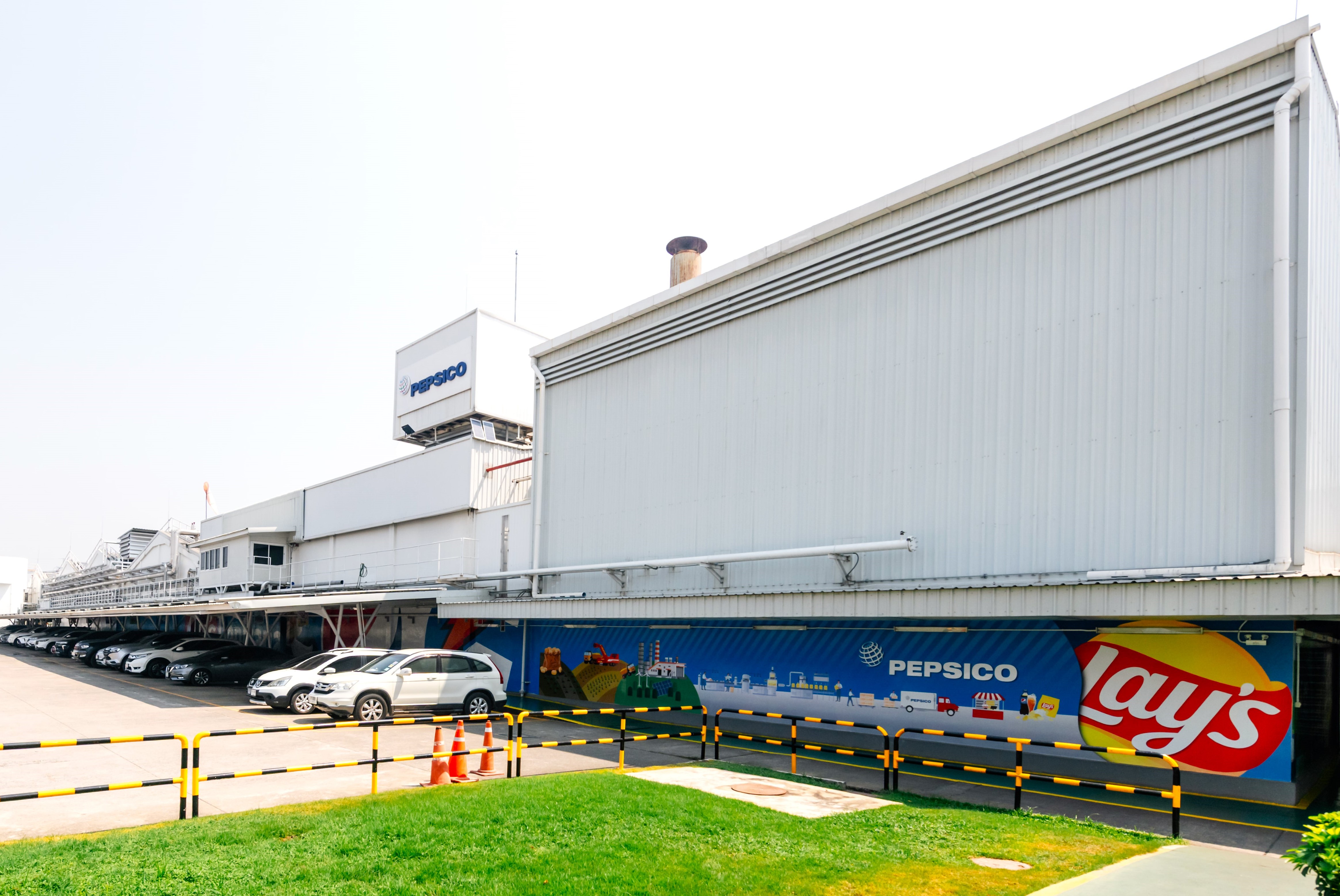 Lays plant